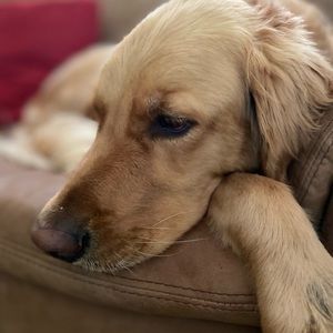 Meet your Posher, Mike and kathleen